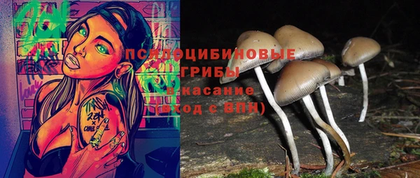 спайс Аркадак