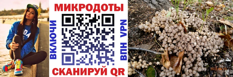 Галлюциногенные грибы прущие грибы  МЕГА ONION  Новоульяновск 